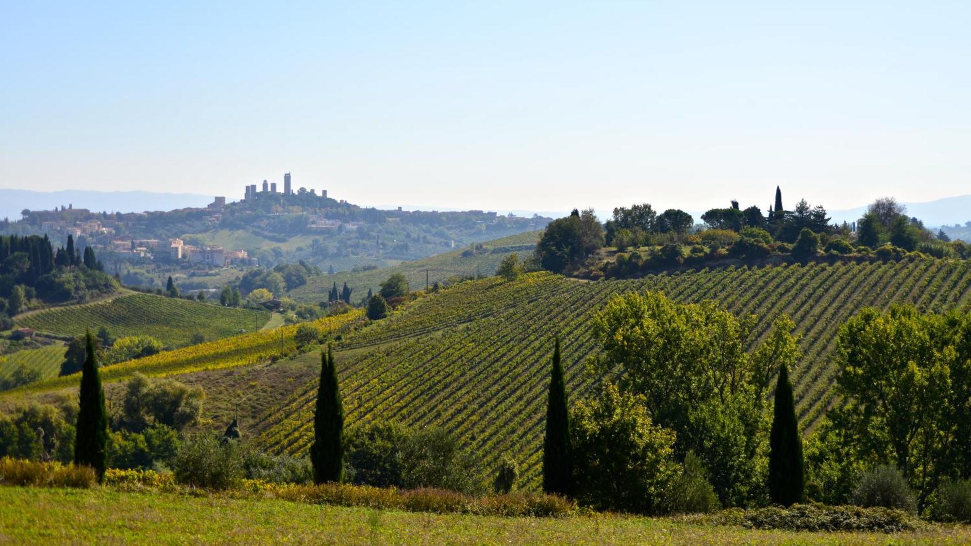 Гостевой дом Fattoria Di Fugnano Сан-Джиминьяно Экстерьер фото
