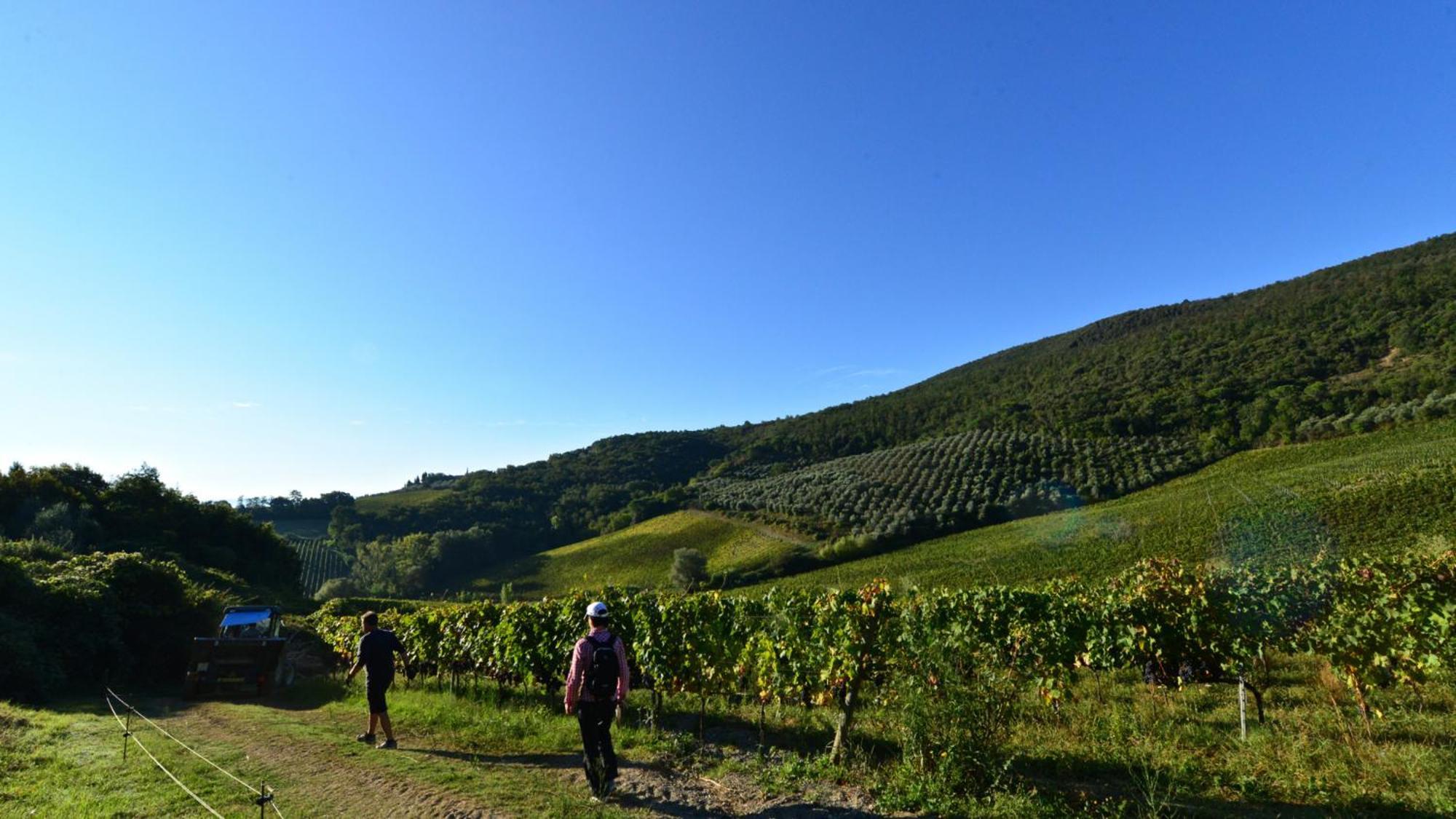 Гостевой дом Fattoria Di Fugnano Сан-Джиминьяно Экстерьер фото